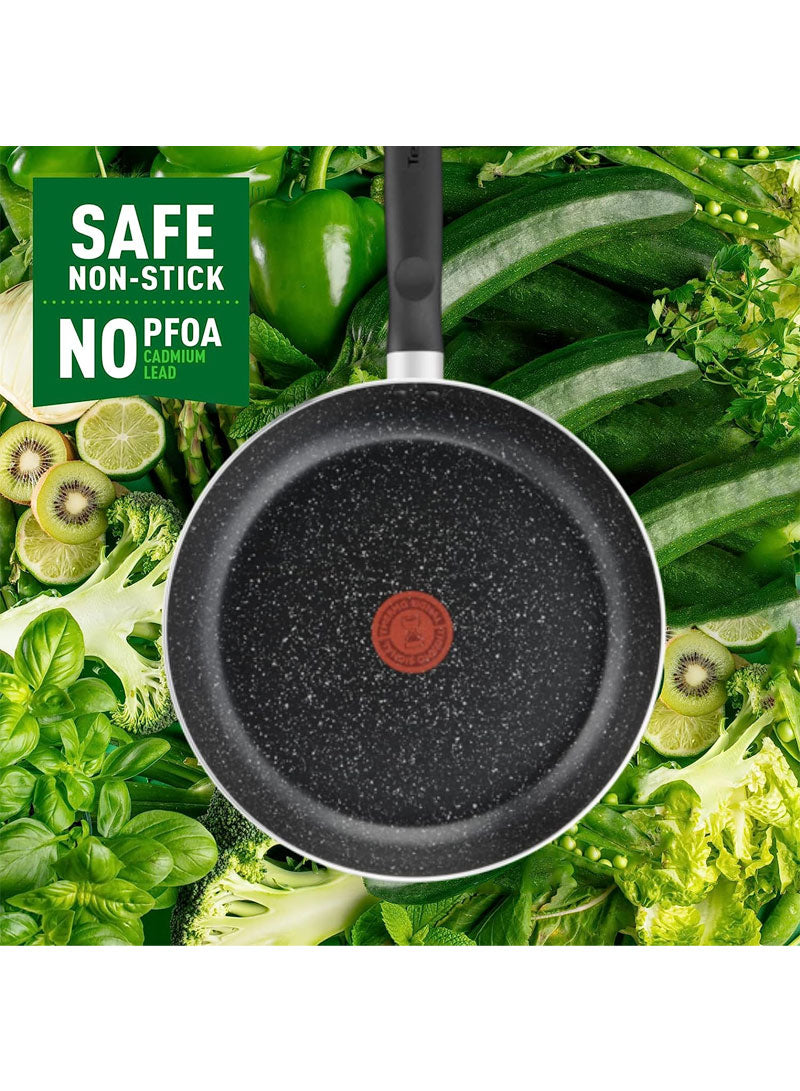 Tefal Dark Stone 11 Pc Cookware Set Non-Stick Pots Pans 22/24/28cm Stewpots