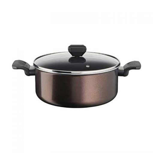 Tefal Easy Cook n Clean Stewpot 24cm + Glass lid