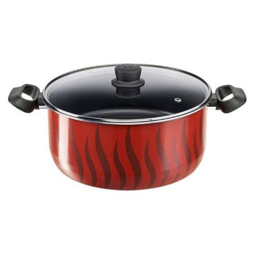 Tefal Tempo Flame - Stewpot 30 + Glass Lid