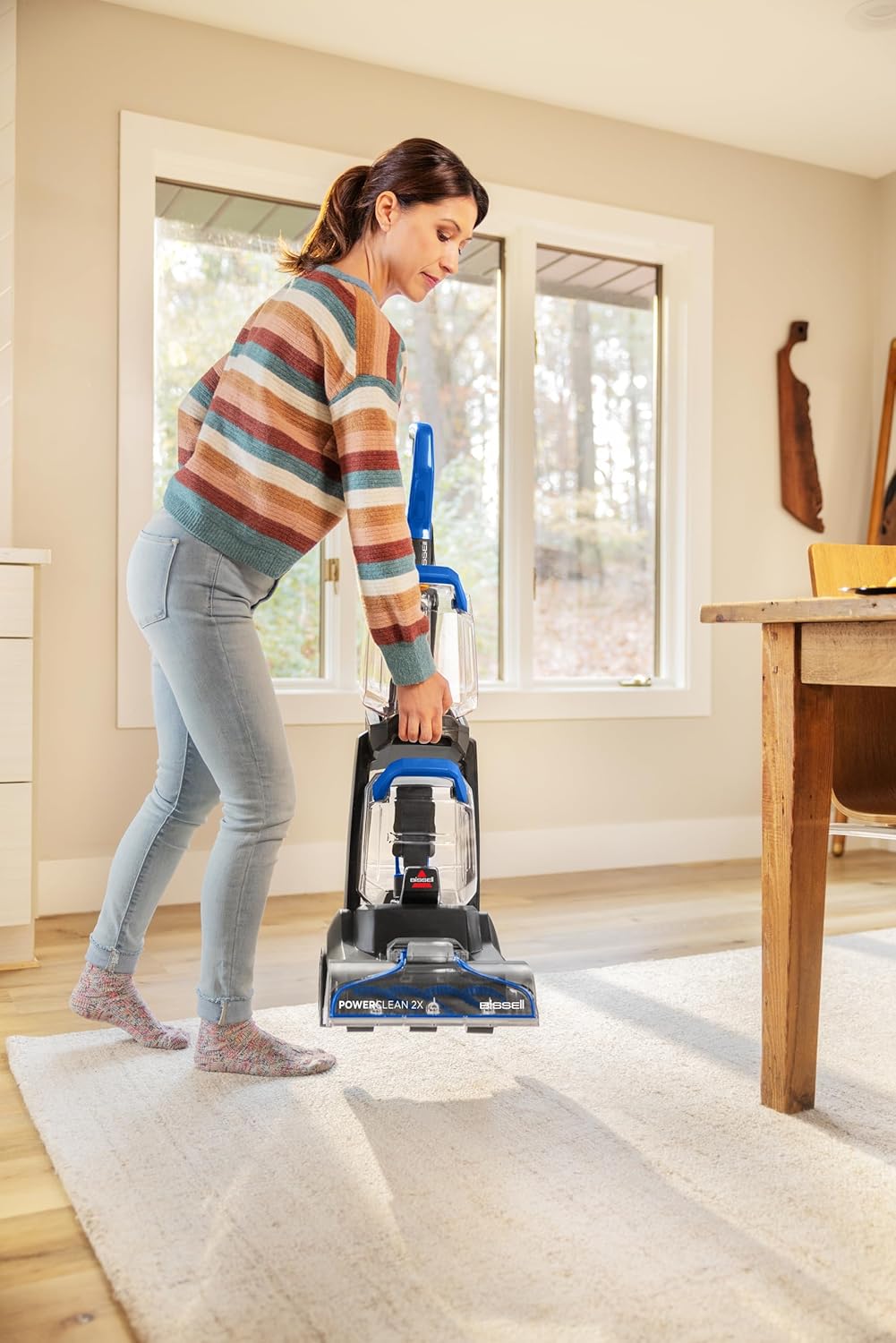 Bissell Powerclean 2X Carpet and Upholstery Washer