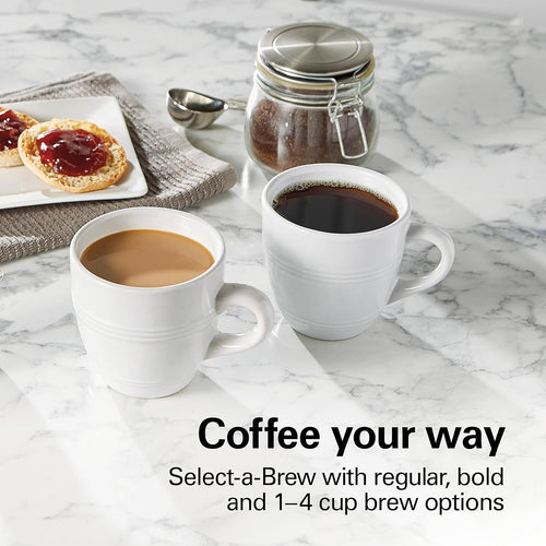 Hamilton Beach 12-Cup Programmable Coffee Maker With Frontfill & Swing-Out Basket