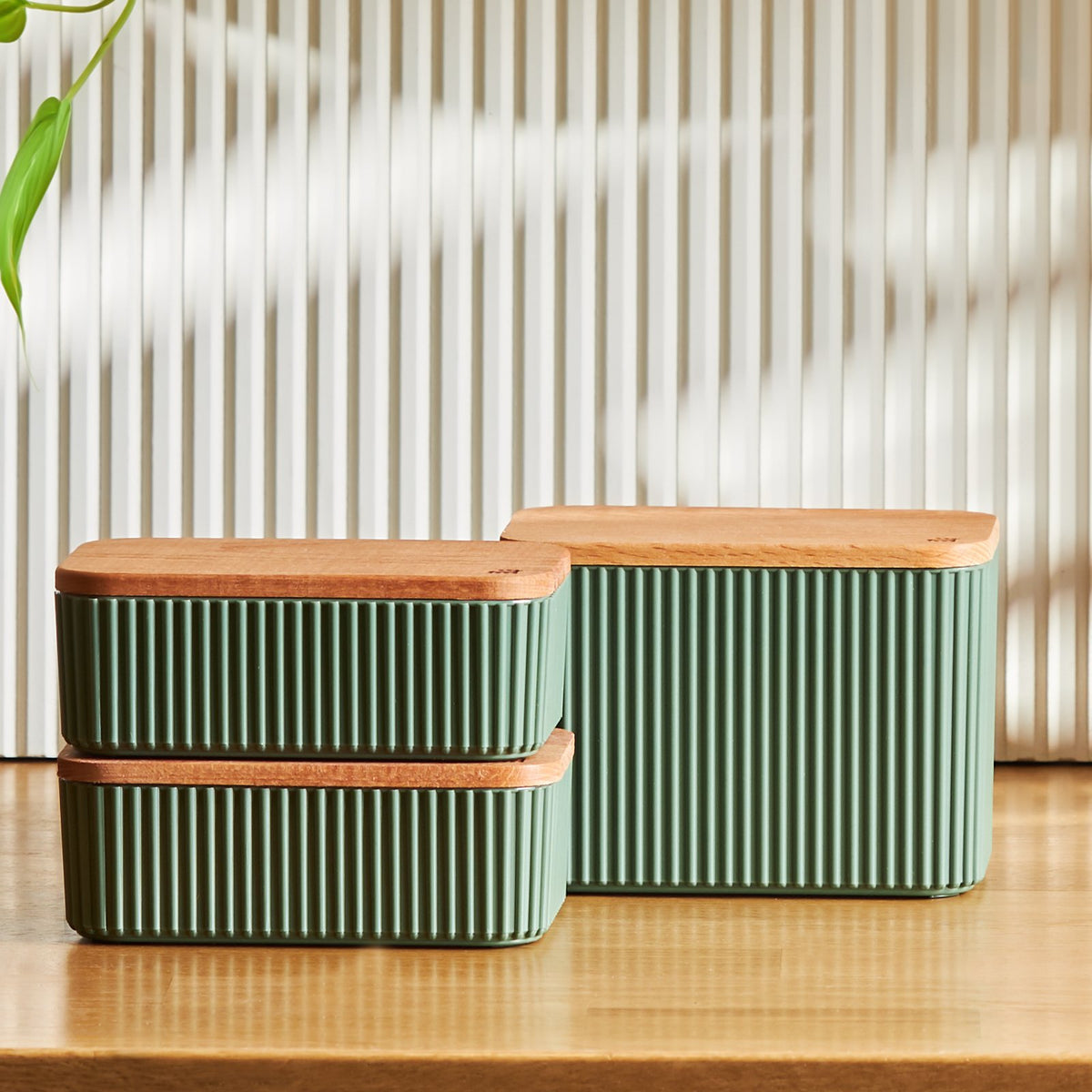 Karaca Massimo 3-Piece Green Storage Container Set