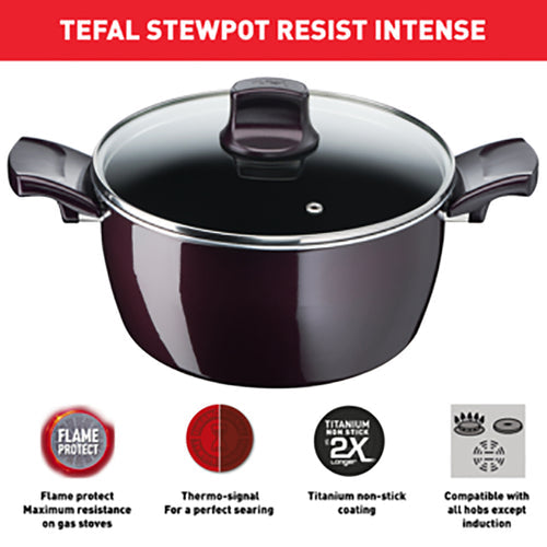 Tefal, Resist Intense - Stewpot 26Cm + Glass Lid