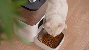 Fakir Petpard Smart Automatic Pet Food Dispenser 4L WiFi Voice Recording