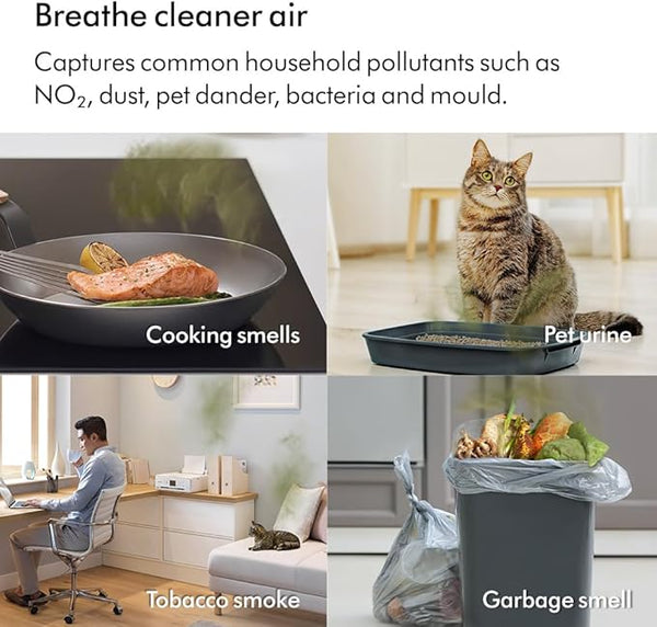 Dyson Purifier Cool Fan TP12 De-NOx HEPA Filtration Formaldehyde White Gold